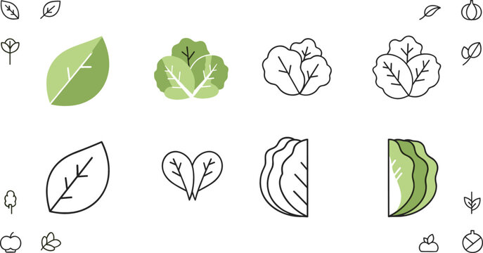 Lettuce Leaf Icon Set with Fresh Salad Greens, Botanical Leaves and Minimal Healthy Food Symbols Vector Illustration Collection