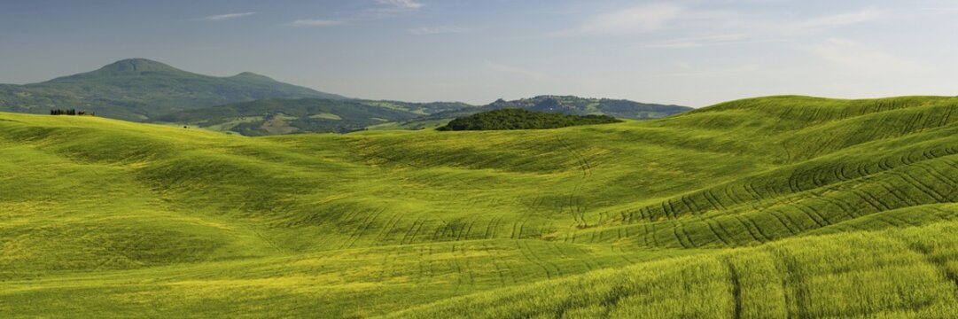 Landscape at sunrise around Pienza, Val dOrcia, Orcia Valley, UNESCO World Heritage Site, Siena Province, Tuscany, Italy
