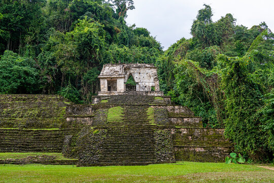 Mayan temple of the Skull in tropical rainforest, Palenque, Chiapas, Mexico.