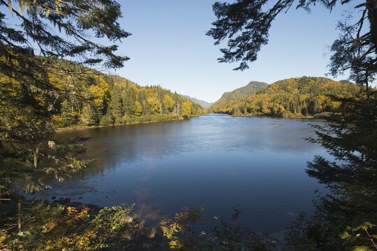 Autumn Landscape in Jacques Cartier Park, Canada