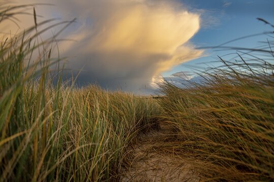 Dune Landscape with Thundercloud, Elbow, List, Sylt Island, Germany