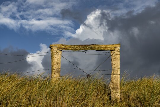 Fence in dune landscape with cloudy sky, Ellenbogen, List, Sylt Island, Germany