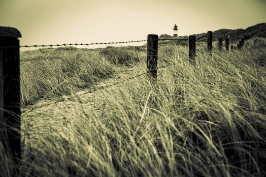 List-ost lighthouse with dune landscape, Sylt west beach, List, Sylt island, Germany