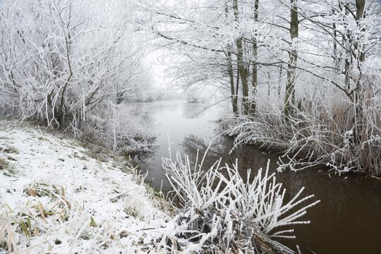 Brook in Hoarfrost, Emsland, Lower Saxony, Germany