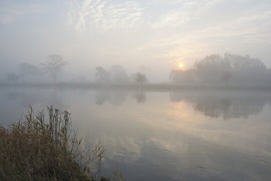 Misty morning on the Ems, Lower Saxony, Germany