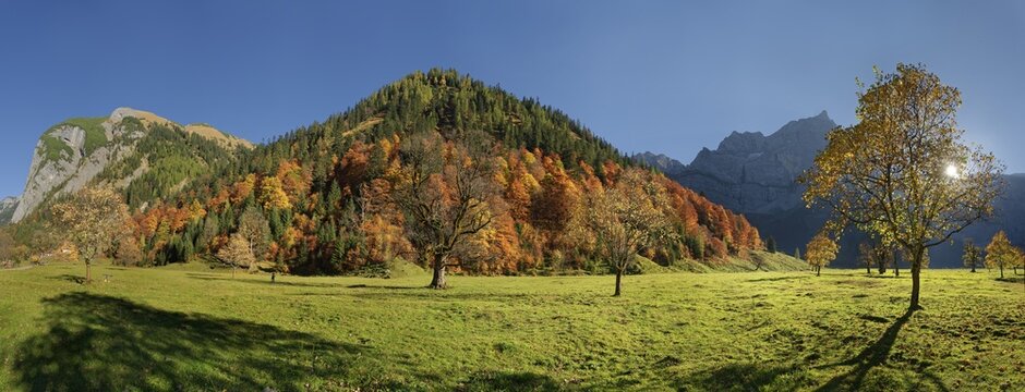 Gro&szlig;er Ahornboden Panorama with autumnal colourful maple trees in low sun below the Spritzkar and B&auml;renkopf Karwendel peaks, Engalm, Engtal, Karwendel, Pertisau, Hinterri&szlig;, Tyrol, Austria