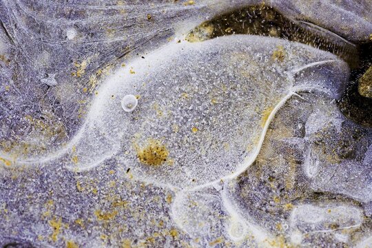 Ice structures in a puddle, Hesse, Germany