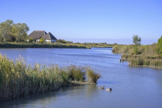 Valle Canal Novo Nature Reserve, Marano Lagunare, Province of Udine, Italy