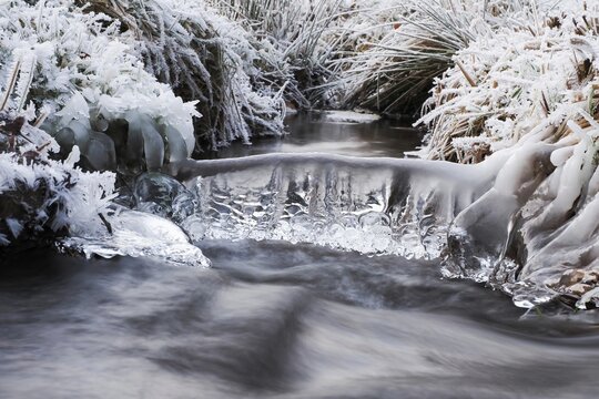 Winter landscape by a stream, hoarfrost and icicles, Hesse, Germany