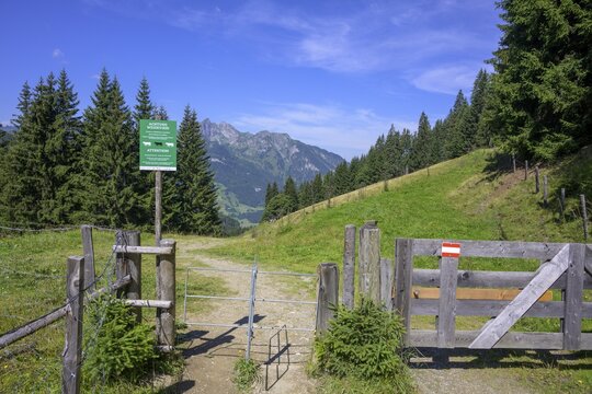 Gate and warning sign above the Hirschgrubenalm, Gro&szlig;arl, Salzburg, Austria