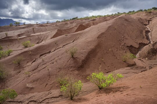 Red earth and sparse vegetation characterise the landscape at Mirador de Abrante, Agulo, La Gomera, Spain