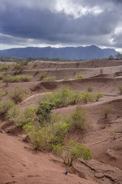Red earth and sparse vegetation characterise the landscape at Mirador de Abrante, Agulo, La Gomera, Spain