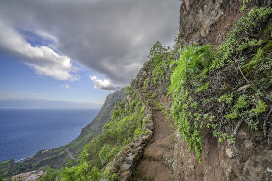 Section of path on the hike up to Mirador de Abrante, Agulo, La Gomera, Spain