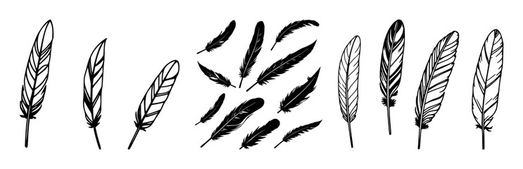 Feather icons set with black feather illustrations featuring vector, line art, minimal clean design with icons and symbols © MSTJAHIDA