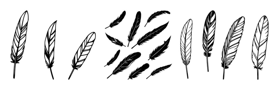 Feather icons set with black feather illustrations featuring vector, line art, minimal clean design with icons and symbols