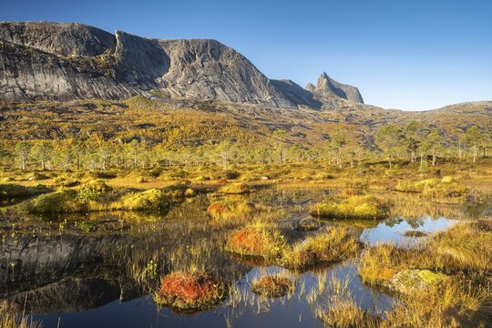 Mount Kulhornet with moorland, Efjord, Tysfjord, Ofoten, Nordland, Norway