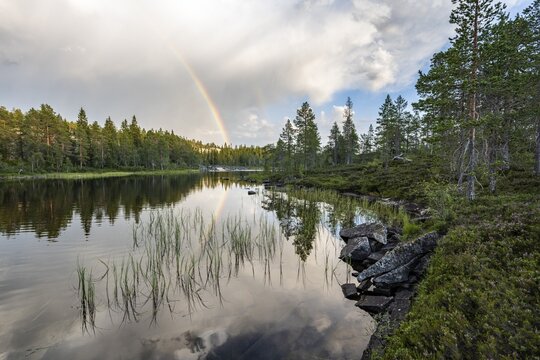 Rainbow over Lake Kjerringvatnet, Nordland, Norway