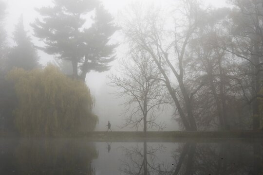 Autumn atmosphere at a pond with Nordic walkers, Hesse, Germany