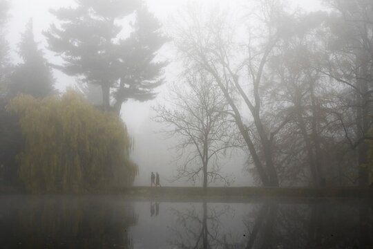 Autumn atmosphere at a pond with two walkers, Hesse, Germany