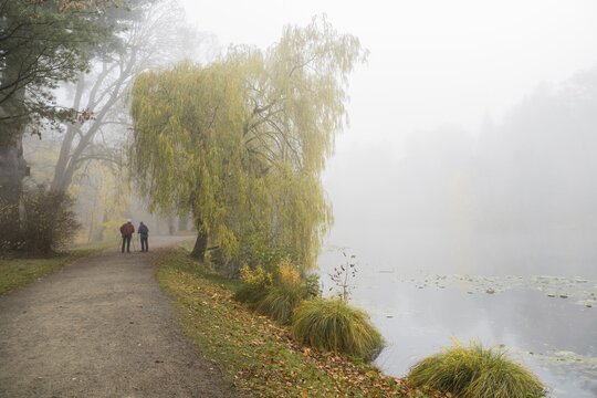 Autumn atmosphere with two walkers, Hesse, Germany