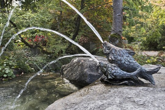 Waterspouting fish sculptures, Mainau Island, Baden-W&uuml;rttemberg, Germany