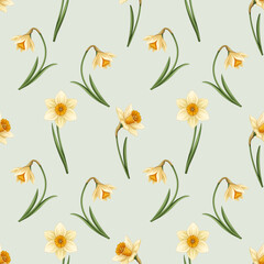 Fototapeta premium Seamless floral pattern with daffodil narcissus flowers on sage green background, spring botanical repeat for textile and wallpaper