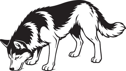 Siberian Husky Eating Posture Side View Black and White Line Art Illustration © chien