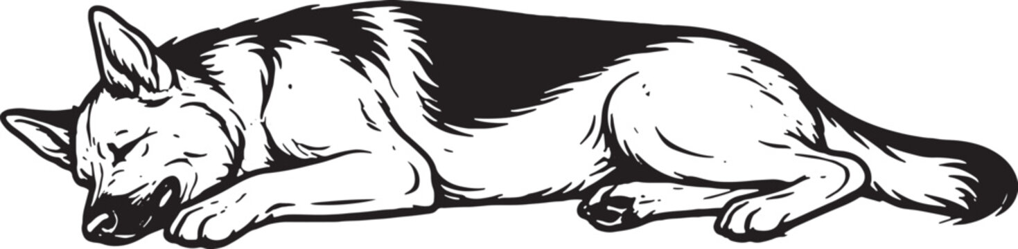 German Shepherd Sleeping on Side Relaxed Pose Black and White Line Art Illustration