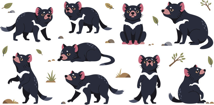 Tasmanian Devil Cartoon Character Set Featuring Standing, Walking, Sitting, and Resting Poses of Australian Wildlife Marsupial in Natural Habitat.