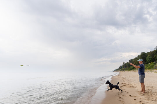 Dog and Man Playing Fetch on Lake Michigan Beach