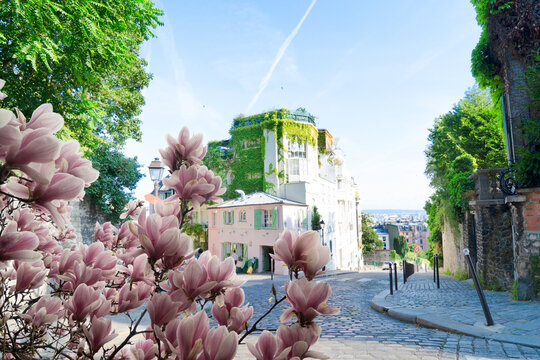 cityscape Mont Matre , Paris, France