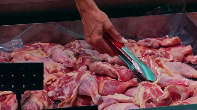Hand Using Metal Tongs Selecting Raw Chicken Pieces From Refrigerated Display In Grocery Store, Fresh Poultry Selection For Home Cooking And Daily Food Shopping