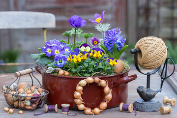 Garten-Arrangement mit Hornveilchen (Viola cornuta), Primel (Primula vulgaris), Hyazinthe,...