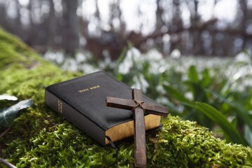 Naklejka premium holy bible book on nature background