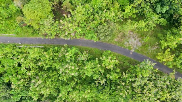 Aerial nadir view with smooth right-to-left sideways movement over a curved asphalt road and dense tropical foliage.