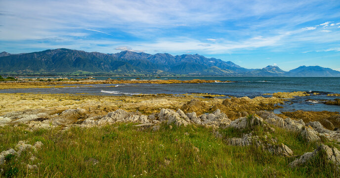 Coastline with tidal flats and cliffs on the Kaikoura Peninsula, with the Seaward Kaikoura Range in the background