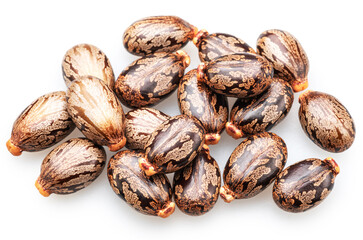 Obraz premium Bean-shaped, mottled, glossy castor oil seeds on white background. File contains clipping paths.