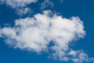 Obraz premium White fluffy clouds scattered across a bright blue sky, creating a serene and tranquil atmosphere in a clear weather setting during daytime