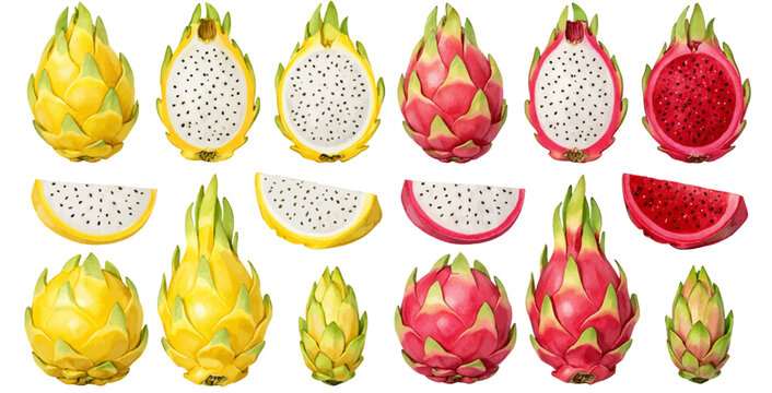 A watercolor collection of dragon fruit and yellow pitaya including whole fruits and slices for tropical fruit illustrations, food designs, and botanical clipart.