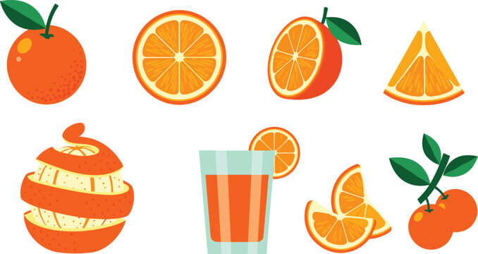 Orange Fruit Collection with Whole Orange, Orange Slices, Peeled Orange Spiral, Fresh Orange Juice Glass and Citrus Branch Vector Illustration Set