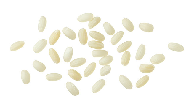 White rice grains isolated on a transparent background