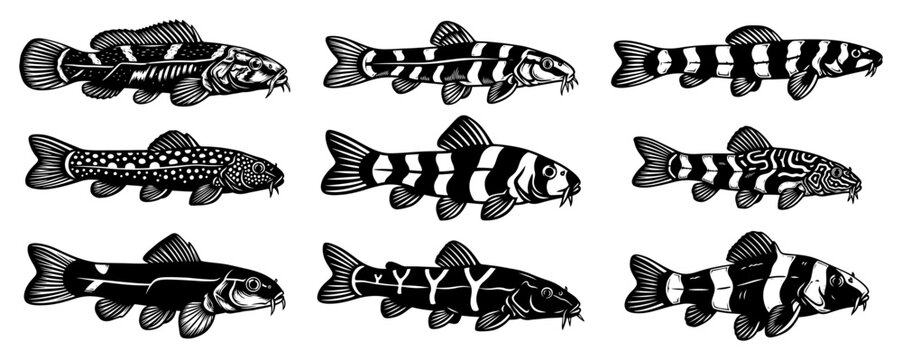 Set of patterned loach and catfish species hand drawn in vintage woodcut style