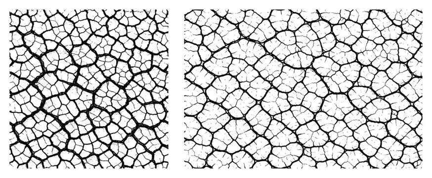 Two patterns of cracked dry earth and mud texture in woodcut style