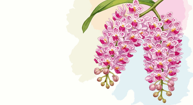 Joyous spring bloom of the traditional foxtail orchid bringing festive cheer. Ample copy space. Watercolor botanical illustration.