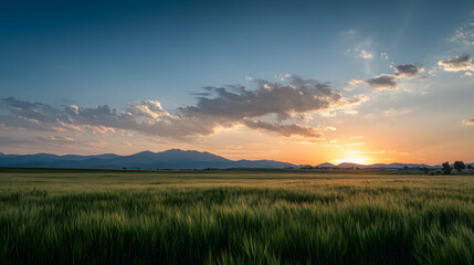 Sunset over green field and mountains