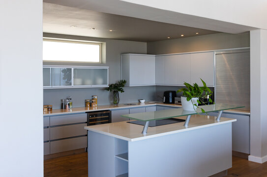 Kitchen island featuring cooktop, raised glass bar and potted plant in modern kitchen
