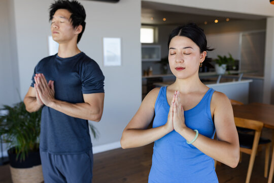 Vertical video: Sunlight pouring in, blue tank top woman holding yoga pose at home for calm, plant