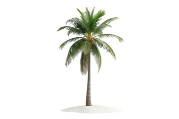 Obraz premium Palm tree growing on a small sand island, tropical plant on transparent background, summer vacation concept