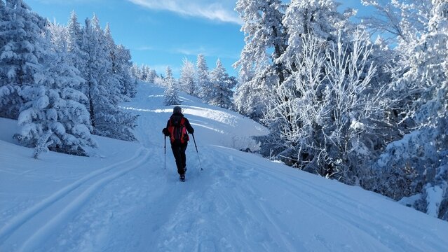 Randonn&eacute;e dans la neige fra&icirc;che au d&eacute;part de Saint-Nizier-du-Moucherotte dans le Vercors en France vers le Moucherotte