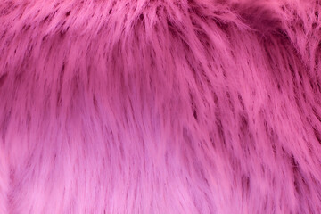 Obraz premium Pink fluffy synthetic fur texture macro textile surface